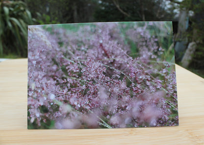 Dew dropped grasses card, pink and green on a summers day on the peninsula of Scoraig, Scottish Highlands.